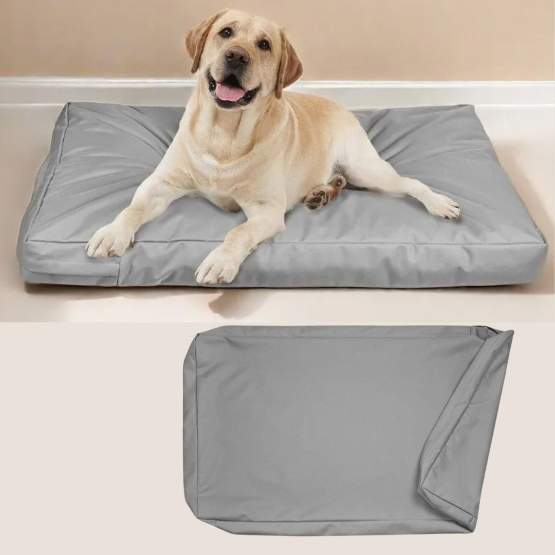 Housse-coussin-chien-imperméable-multiusage pour lit matelas pour chien-de couleur gris-lavable en machine-résistant aux griffes et morsure, durable, coutures solides et fermeture éclair discrète, disponible en 3 tailles L, XL et XXL de 92 à 122 cm pour tout les chiens ou chiots-couleur gris