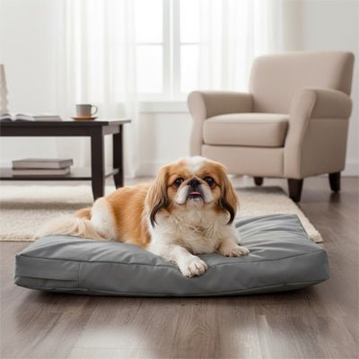 Housse-coussin-chien-imperméable-multiusage pour lit matelas pour chien-de couleur gris-lavable en machine-résistant aux griffes et morsure, durable, coutures solides et fermeture éclair discrète, disponible en 3 tailles L, XL et XXL de 92 à 122 cm pour tout les chiens ou chiots-un chien  de petite taille couché sur la housse 100% imperméable en tissu oxford qui enveloppe le matelas rectangulaire dans le salon de l'appartement