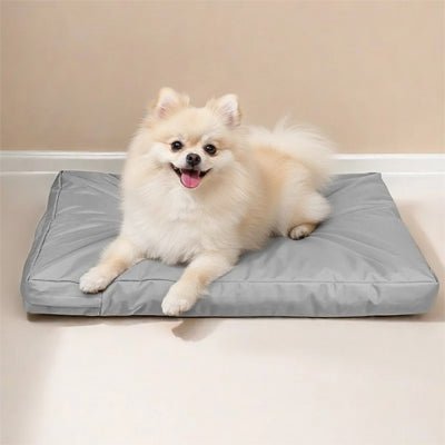 Housse-coussin-chien-imperméable-multiusage pour lit matelas pour chien-de couleur gris-lavable en machine-résistant aux griffes et morsure, durable, coutures solides et fermeture éclair discrète, disponible en 3 tailles L, XL et XXL de 92 à 122 cm pour tout les chiens ou chiots-un petit chien couché sur la housse 100% imperméable en tissu oxford qui enveloppe le matelas rectangulaire dans le salon de l'appartement