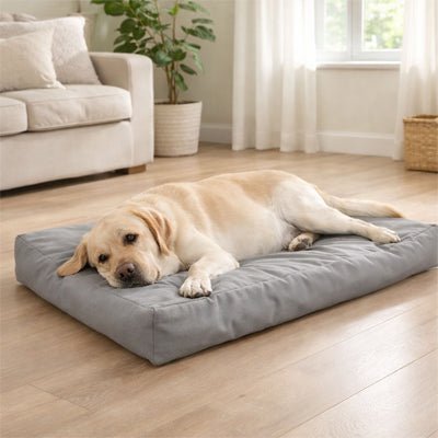 Housse-coussin-chien-imperméable-multiusage pour lit matelas pour chien-de couleur gris-lavable en machine-résistant aux griffes et morsure, durable, coutures solides et fermeture éclair discrète, disponible en 3 tailles L, XL et XXL de 92 à 122 cm pour tout les chiens ou chiots-un grand chien couché sur la housse 100% imperméable en tissu oxford qui enveloppe le matelas rectangulaire dans le salon de la maison