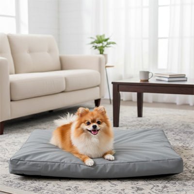Housse-coussin-chien-imperméable-multiusage pour lit matelas pour chien-de couleur gris-lavable en machine-résistant aux griffes et morsure, durable, coutures solides et fermeture éclair discrète, disponible en 3 tailles L, XL et XXL de 92 à 122 cm pour tout les chiens ou chiots-un petit chien à long poils couché sur la housseanti poils et 100% imperméable en tissu oxford qui enveloppe le matelas rectangulaire dans le salon de l'appartement