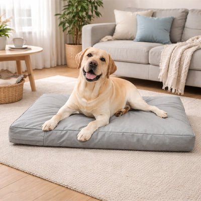 Housse-coussin-chien-imperméable-multiusage pour lit matelas pour chien-de couleur gris-lavable en machine-résistant aux griffes et morsure, durable, coutures solides et fermeture éclair discrète, disponible en 3 tailles L, XL et XXL de 92 à 122 cm pour tout les chiens ou chiots-un chien de grande taille couché sur la housse 100% imperméable en tissu oxford qui enveloppe le matelas rectangulaire dans le salon de l'appartement