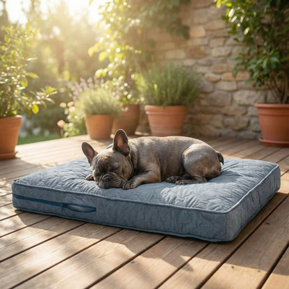 Housse-coussin-chien-matelasse-rectangulaire-imperméable-douce-et résistante-anti poils et saletés-coutures et fermetures éclair solide et discrète- lavable en machine-4 tailles disponibles M,L, XL et XXL pour lit , coussin pour chien de toutes tailles de petites à très grandes de 0 à 50 kg- un petit chien qui dort sur la housse confortable et rembourrée en protection de son matelas sur la terrasse de la maison