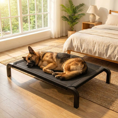Housse-de-lit-de-camp-pour-chien-chiot-anti-poils, en teslin résistant et solide adaptable pour le lit de camps CarboneToutou™ en 4 tailles S, M, L et XL pour petit à grand chien- housse imperméable, lavable, respirante idéal pour l'été avec circulation de l'air naturelle, durable et écoresponsable-un berger allemand qui dort sur la housse de rechange XL installée sur le lit CarboneToutou™ de 120 cm de long pour chien et chiot de grande race dans la chambre de la maison en été