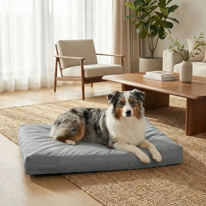 Housse-pour_coussin-chien-impermeable-5-tailles S, M, L, XL et XXL-lavable en machine- anti-poils-protection ultra-résistante en tissu Oxford 600 D résistant aux griffes et morsures de couleur gris-protection de couchage, coussin, lit, matelas, panier de forme rectangulaire-un Berger australien couché confortablement sur la housse douce et hypoallergénique et hygiénique qui protège son matelas sur le sol du salon de l'appartement