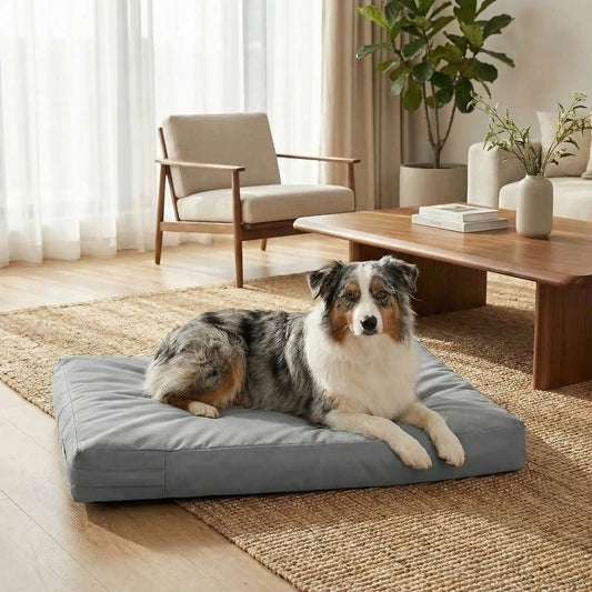 Housse-pour_coussin-chien-impermeable-5-tailles S, M, L, XL et XXL-lavable en machine- anti-poils-protection ultra-résistante en tissu Oxford 600 D résistant aux griffes et morsures de couleur gris-protection de couchage, coussin, lit, matelas, panier de forme rectangulaire-un Berger australien couché confortablement sur la housse douce et hypoallergénique et hygiénique qui protège son matelas sur le sol du salon de l'appartement