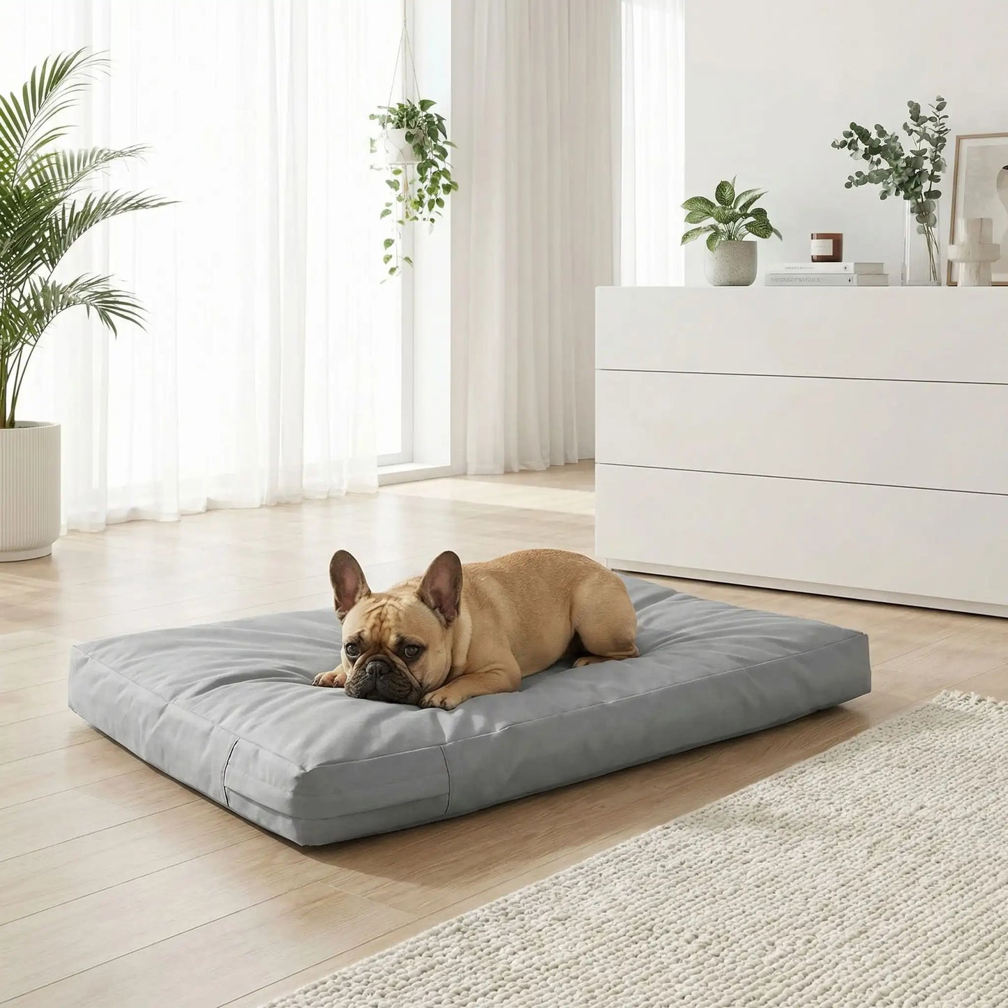 Housse-pour_coussin-chien-impermeable-5-tailles S, M, L, XL et XXL-lavable en machine- anti-poils-protection ultra-résistante en tissu Oxford 600 D résistant aux griffes et morsures de couleur gris-protection de couchage, coussin, lit, matelas, panier de forme rectangulaire-unchien de taille moyenne qui dort paisiblement sur la housse douce et hypoallergénique et hygiénique qui protège son matelas sur le sol de la terrasse de la maison