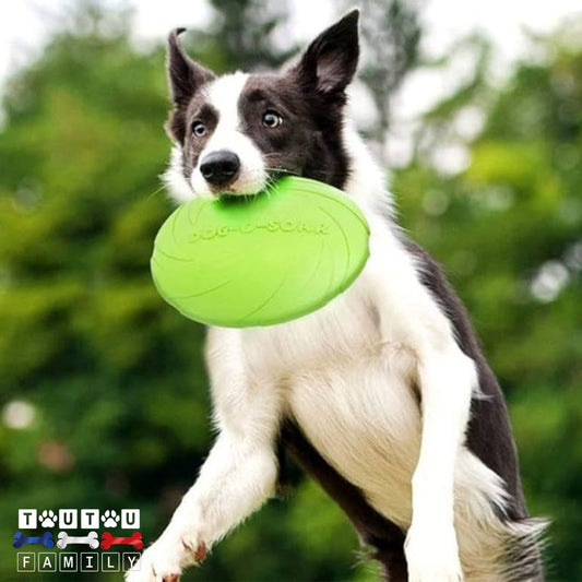 Jouet-interactif-pour-chien-frisbee-caoutchouc-100%-naturel-jeu-extérieur-jeu-qui-renforce-le-lien-renforce-la-musculature-canine-un-chien-qui-tient-le-frisbee-dans-sa-machoire