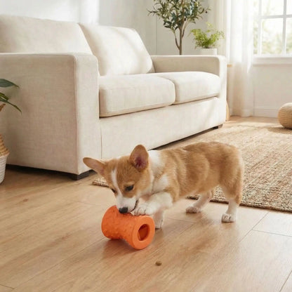 Jouet-pour-chien-destructeur-d-occupation, distributeur de croquette pour chiot et chien indestructible, jeu éducatif et d'intelligence, anti-anxiété de séparation-extérieur avec forme 3D pour un massage doux des gencives et nettoyage du tarte comme une brosse naturelle, jouet dentaire- un chiot de race active qui joue avec sa truffe et sa pattes avec le jouet rempli de friandises caché entre ses pattes pour les débusquer