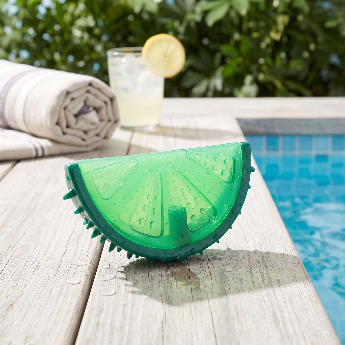 Jouet-rafraichissant-chien-chiot-glace-à-mordre et à remplir d'eau pour le mettre au congélateur, réutilisable, lavable en plastique robuste sans BPA, ni produits toxique, de qualité alimentaire, avec picots idéal pour masser les gencives et pour soulager les poussées dentaires du chiot avec l'effet froid anesthésiant qui masse les gencives, disponible en 3 formes de fruit part de pastèque, ananas et tranche de citron vert-gros plan que le jouet rafraichissant en forme citron vert rempli d'eau glacée