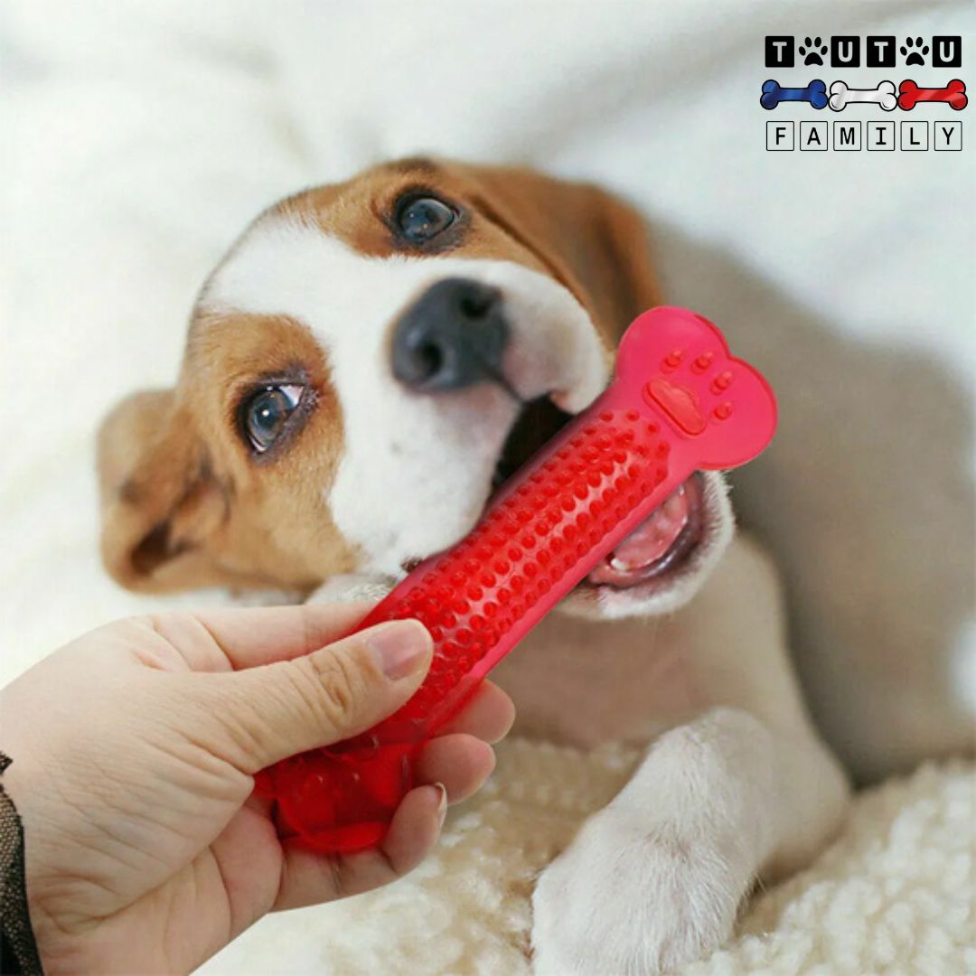 Jouets-pour-chiots-et-petit-chien-jouet-indestructible-os-pour-chiot-pour-chien-en-caoutchouc-naturel
