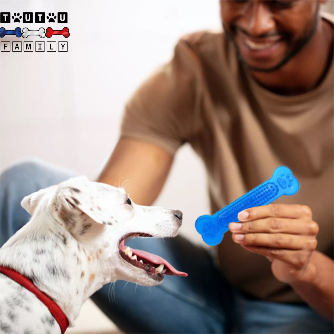 Jouets-pour-chiots-jouet-d-occupation-jouet-pour-chien-destructeur-jouet-indestructible-en-caoutchouc-naturel