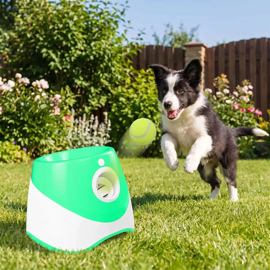 Lance-balle-automatique-pour-chien-3 longueurs réglables : 3/6/9 mètres avec 3 balles de tennis ⌀5 cm pour chien fournies, compatibles avec balles du même diamètre, de couleur blanc et vert, avec sa prise USB, détecteur de mouvement avec lancer automatique, jouet interactif transportable avec sa poignée compact et autonome pour chiot et chien de petite race- un chiot qui s'élance pour attraper la balle de tennis envoyée automatiquement par le lanceur dans le jardin de la maison