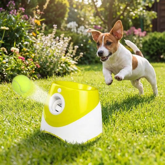 Lance-balle-automatique-pour-chien-3 longueurs réglables : 3/6/9 mètres avec 3 balles de tennis ⌀5 cm pour chien fournies, compatibles avec balles du même diamètre, de couleur blanc et vert clair, avec sa prise USB, détecteur de mouvement avec lancer automatique, jouet interactif transportable avec sa poignée compact et autonome pour chiot et chien de petite race- un chien de race active qui court pour attraper la balle de tennis envoyée par le lanceur de balles à détecteur de mouvement dans le jardin 
