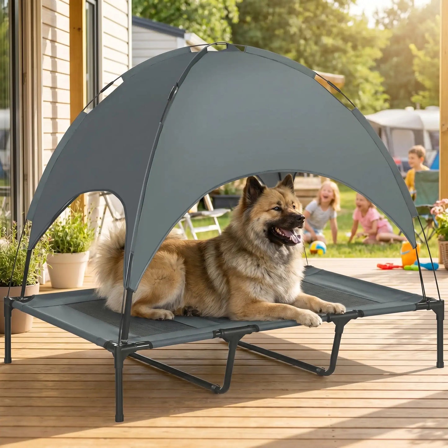 Lit-camp-chien-auvent-120-cm, en tissu oxford 100% imperméable et maille respirante et structure en acier inoxydable, avec son dôme parasol amovible anti uv et anti pluie, polyvalent pour une utilisation interieur et exterieur, surélevé avec 4 pieds et deux barres transversales au milieu et patin anti rayure pour une stabilité pour chiot et chien de petite à moyenne taille jsuqu'à 30 kilos-un chien de taille moyenne à poils épais et drus couché au frais sur son lit de camp avec parasol sur la terasse en été