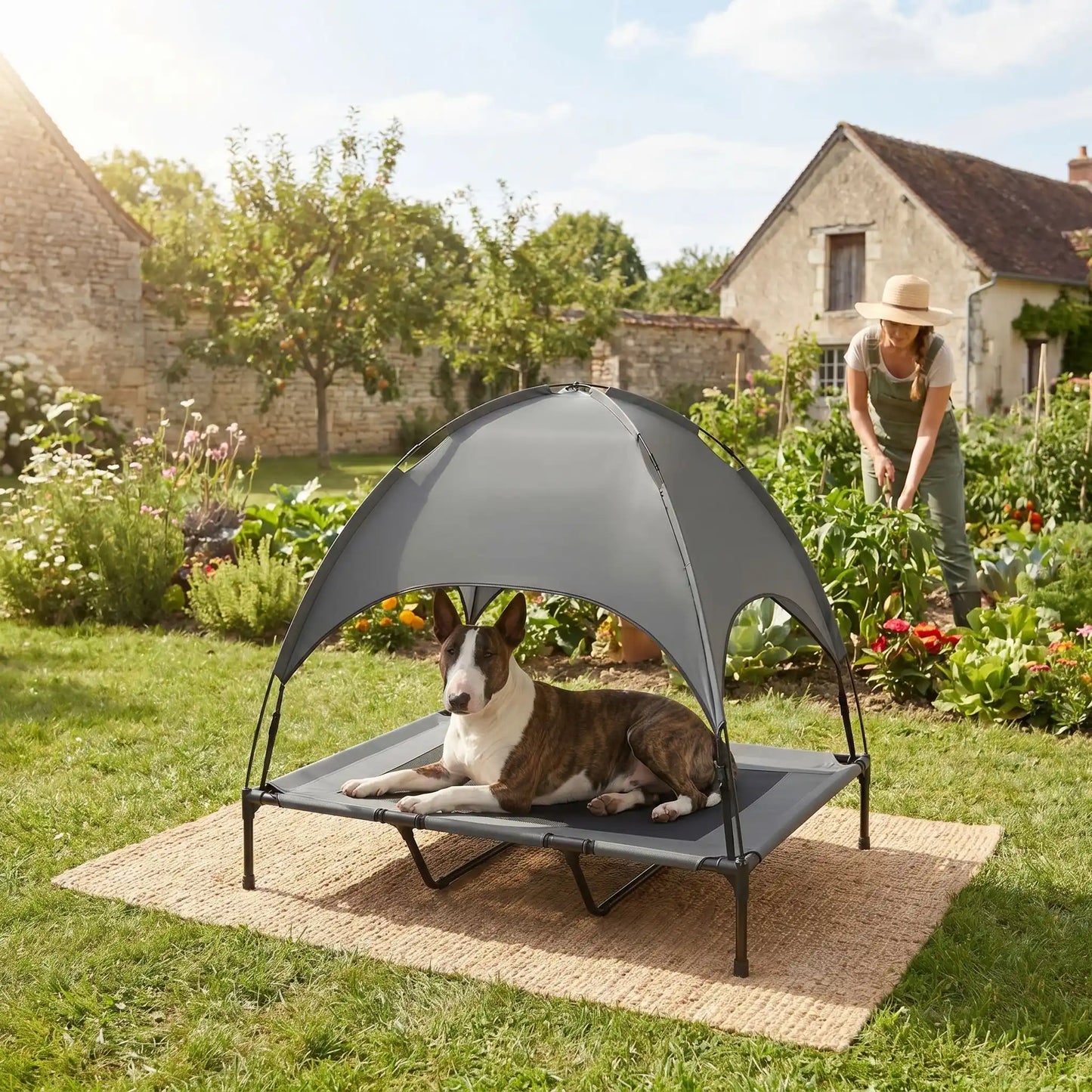 Lit-camp-chien-auvent-120-cm, en tissu oxford 100% imperméable et maille respirante et structure en acier inoxydable, avec son dôme parasol amovible anti uv et anti pluie, polyvalent pour une utilisation interieur et exterieur, surélevé avec 4 pieds et deux barres transversales au milieu et patin anti rayure pour une stabilité pour chiot et chien de petite à moyenne taille jusqu'à 30 kilos-un chien de taille moyenne couché confortablement sur son lit de camps avec parasol qui protège du vent, uv et pluie 