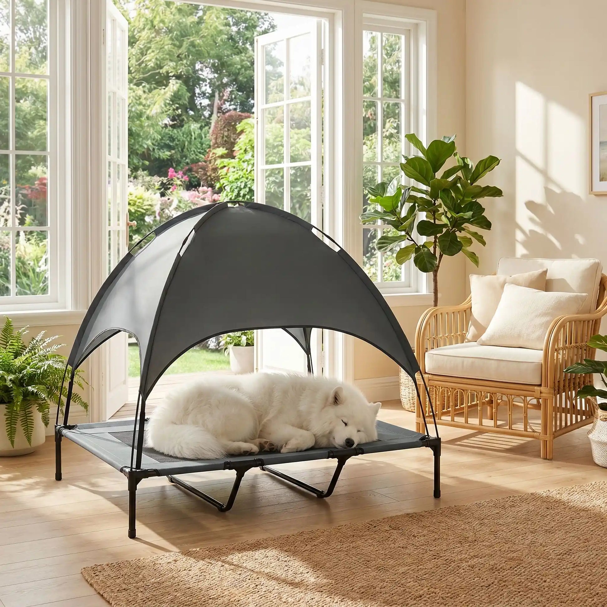 Lit-camp-chien-auvent-120-cm, en tissu oxford 100% imperméable et maille respirante et structure en acier inoxydable, avec son dôme parasol amovible anti uv et anti pluie, polyvalent pour une utilisation interieur et exterieur, surélevé avec 4 pieds et deux barres transversales au milieu et patin anti rayure pour une stabilité pour chiot et chien de petite à moyenne taille jusqu'à 30 kilos-un chien de taille moyenne qui dort sur son lit de camps avec parasol à l'ombre dans le salon de la maison en été