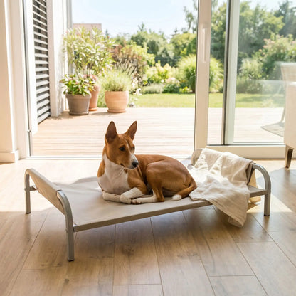 Lit-camp-chien-chiot-hamac-imperméable, tissu oxford et nylon, résistant aux griffes et morsures, confortable en maille aérée pour un lit surélevé sur pied et structure en acier inoxydable avec patin anti-rayure et antidérapant sur les 4 pieds, déhoussable et lavable pour chiot et chien de petite à moyenne taille-un Basenji couché confortablement au frais sur le lit surélevé pour chien couleur gris avec design arrondi moderne et anti blessure et housse style hamac dans le salon de la maison en eté