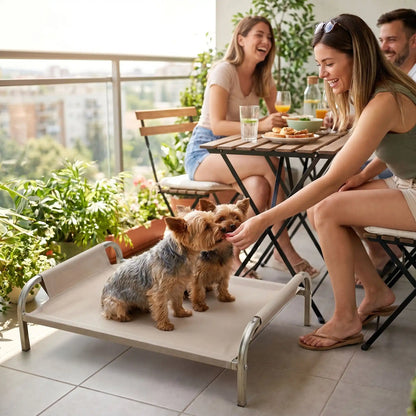Lit-camp-chien-chiot-hamac-imperméable, tissu oxford et nylon, résistant aux griffes et morsures, confortable en maille aérée pour un lit surélevé sur pied et structure en acier inoxydable avec patin anti-rayure et antidérapant sur les 4 pieds, déhoussable et lavable pour chiot et chien de petite à moyenne taille- deux petits chien assis confortablement au frais sur le lit surélevé pour chien à côté de sa maitresse qui leur donne des friandises pendant son diner avec ses amis sur le balcon de l'appartement 