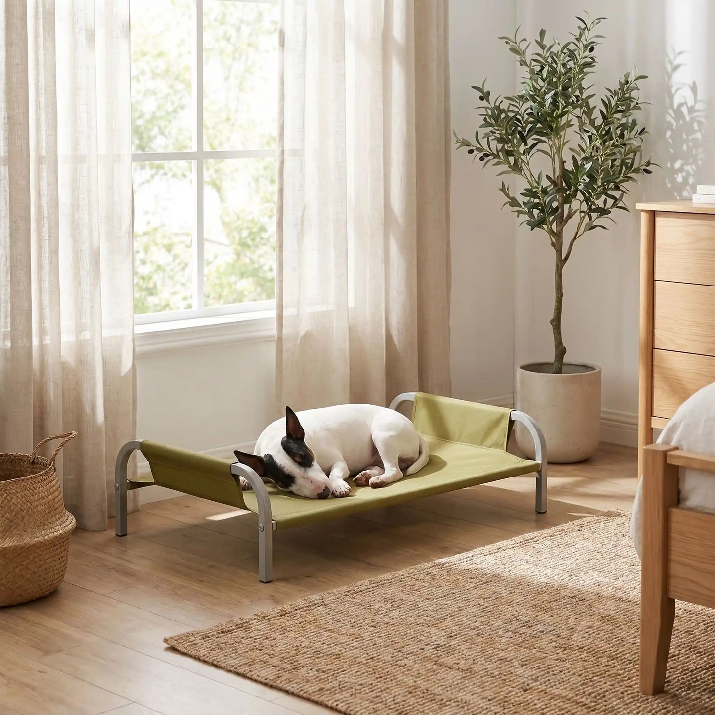 Lit-camp-chien-chiot-hamac-imperméable, tissu oxford et nylon, résistant aux griffes et morsures, confortable en maille aérée pour un lit surélevé sur pied et structure en acier inoxydable avec patin anti-rayure et antidérapant sur les 4 pieds, déhoussable et lavable pour chiot et chien de petite à moyenne taille-un chien de race miniature qui dort paisiblement sur le lit surélevé pour chien couleur kaki avec design arrondi moderne et anti blessure stable comme un hamac  dans la chambre en été