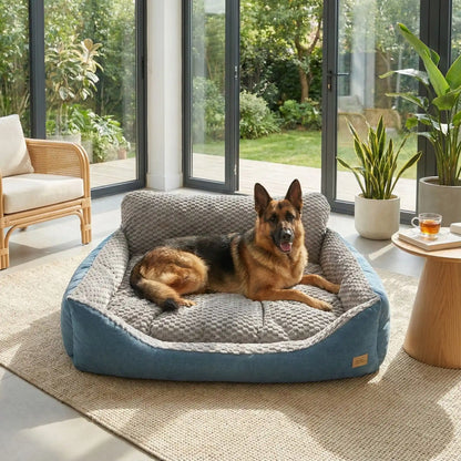 Lit-canape-pour-chien-chiot-déhoussable, lavable en machine, antidérapant et imperméable avec rembourrage 100% coton haute densité, anti-affaissement et ergonomique qui protège les articulations, la colonne vertébrale et favorise la récupération musculaire, idéal pour les chiots en croissance, les chiens agés et fragiles aux articulations-hypoallergénique pour chiien de petite à très grande grande taille-un Berger allemand couché confortablement dans son canapé lit xxl solide dans la véranda de la maison