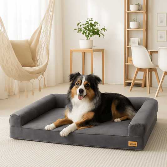 Lit-canapé-pour-chien-déhoussable-antidérapant avec matelas à mémoire de forme imperméable et lavable en machine pour chien moyen à grand-un berger couché sur le lit orthopédique avec rebord 100% coton sécurisant dans sa maison