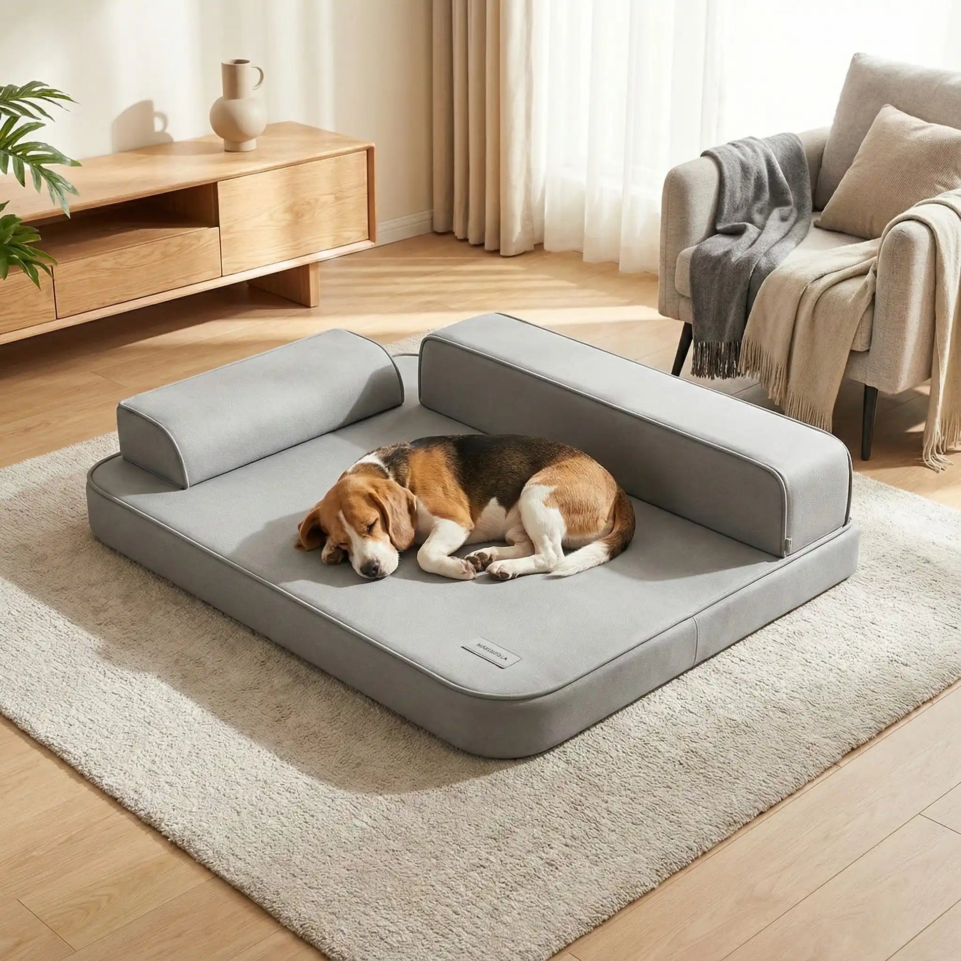 Lit-canapé-pour-chien-chiot-imperméable-orthopédique-dehoussable-lavable en machine, antidérapant,accoudoirs haut en forme de L de couleur gris, technologie anti déchirure, coutures résistantes et solides garantissant sa longue longévité-rembourrage 100% coton haute densité et matelas en mousse éponge haute résilience  à mémoire de forme-un Beagle qui dort en boulle sur son grand lit design xxl dans le salon de l'appartement