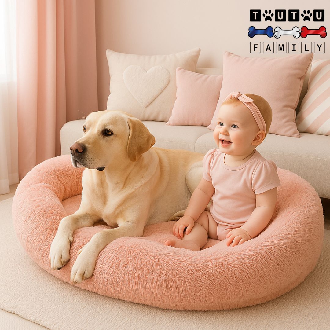 Lit-chien-xxl-déhoussable-un labradorcouché avec un bébé assis à côté de lui dans le grand lit ovale avec rebord haut entourant à 360° spacieux en peluche douce rose avec matelas orthopédique à mémoire de forme 100% coton haute densité lavableen machine dans le salon cosy de la maison