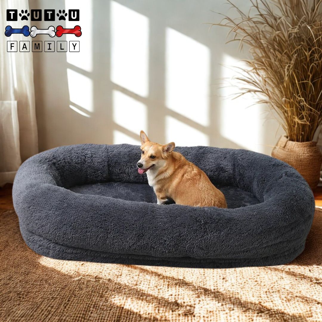 Lit-chien-xxl-gris-déhoussable et lavable imperméable pour grand chien-chien géant avec matelas orthopédique D 100% coton et housse imperméable et antidérapante pour un confort canin optimal