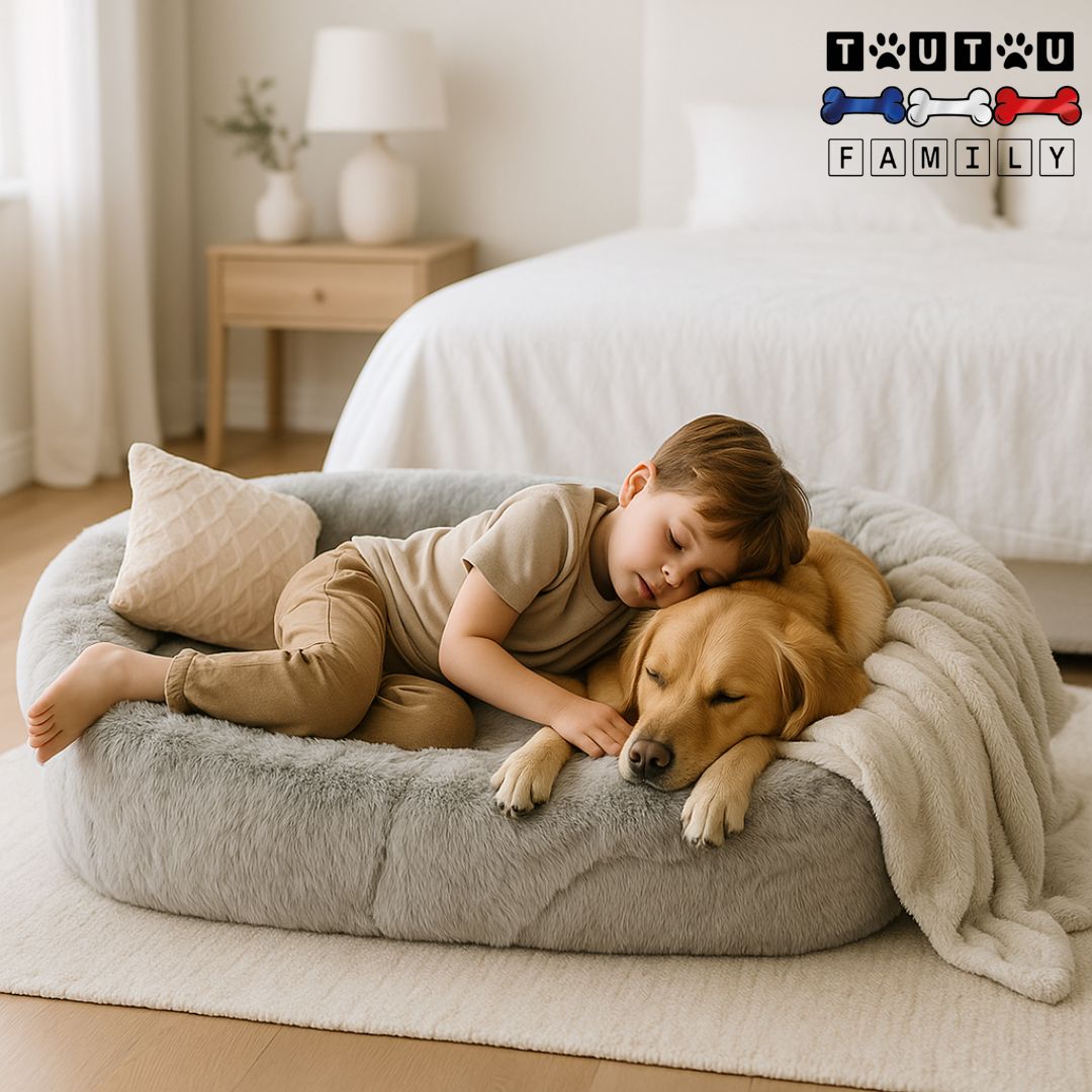 Lit-chien-xxl-lavable-déhoussable en pleuche-un golden qui dort avec un petit garçon dans grand lit xxl et 3xl pour chien avec une couverture polaire et un coussin dans la chambre à coucher