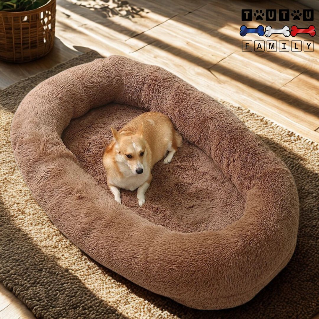 Lit-chien-xxl-marron-spacieux très grand de la taille d'un humain adulte avec traversin entourant et sécurisant déhoussable en peluche douce et matelas orthopédique à mémoire de forme 100% coton haute densité-écoresponsable