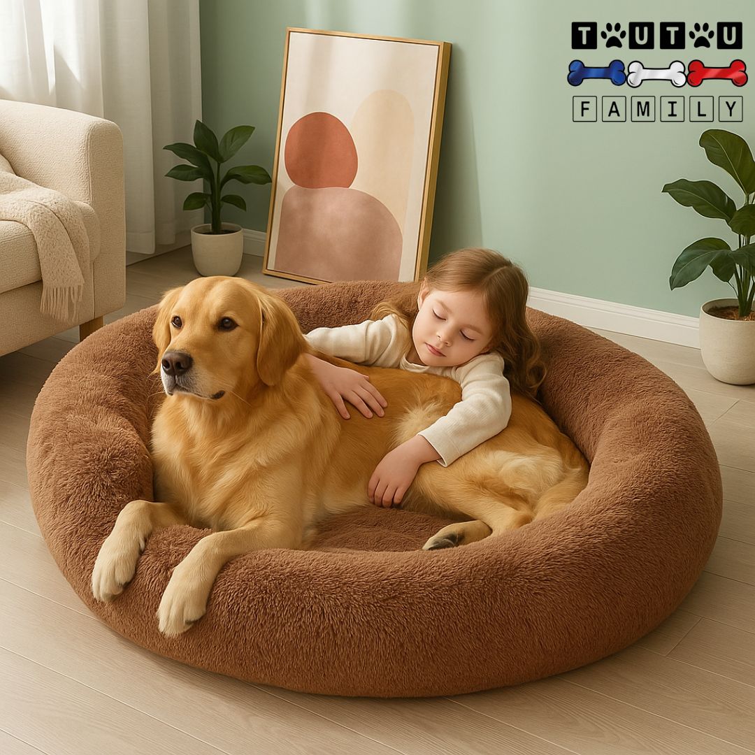 Lit-chien-xxl-orthopédique-une petite fille qui dort contre son golden retriever dans le lit coussin avec traversin entourant 100% coton ergonomique dans le salon-lit chaud xxl et 3xl déhoussable et lavable en machine