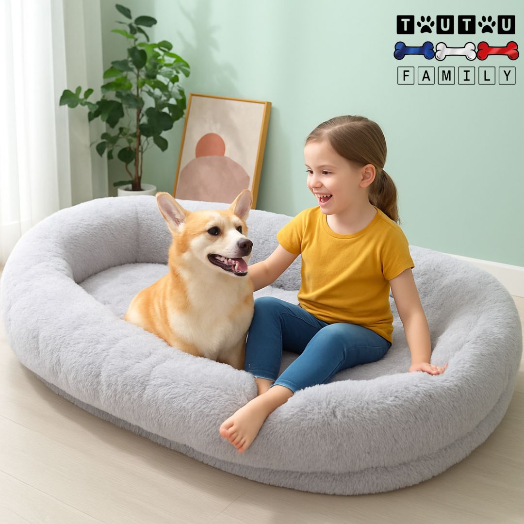 Lit-chien-xxl-ovale-une petite fille assise avec son chien dans le lit en peluche xxl avec matelas orthopédique en peluche déhoussable et lavable en machine dans le salon