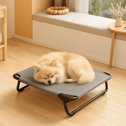 Lit-de-camp-chien-hamac-surélevé avec pied pliable-résistant au griffes-respirant-aérer pour toute saison en maille oxford 100% imperméable qui ne retient pas les poils et les saletés-hygiénique-entretien facile-lavable-pieds antidérapants et anti-rayures-polyvalent pour une utilisation intérieur et extérieur-idéal pour les voyages-solide et durable avec pieds en acier inoxydable-un chien moyen à poils dense qui dort en boule sur son lit surélevé gris dans le salon de la maison