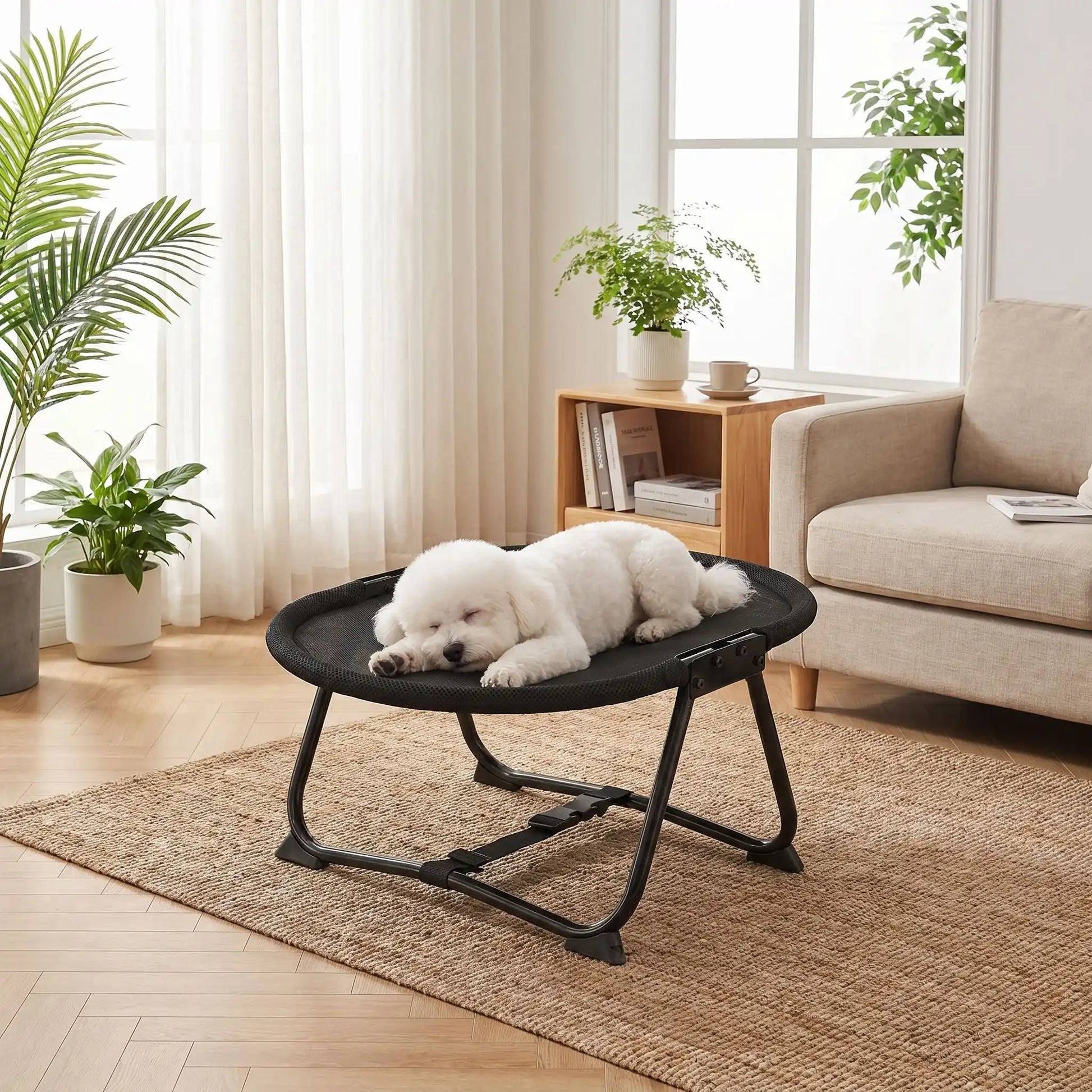Lit-de-camp-chien-chaise, hamac d'été en maille repirante solide pour une circulation d'air optimale, imperméable, lavable, avec sa structure en acier inoxydable avec sangles de sécurité réglable et pliable, compacte pour chiot et chien de petite taille de 0 à 6 kilos maximum de couleur noir, léger et transportable-un petit chien à poils épais qui dort sur le ventre sur le hamac ovale avec sa structure solide et pliable pour chiot et chien de petite taille dans le salon de l'appartement en été