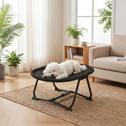 Lit-de-camp-chien-chaise, hamac d'été en maille repirante solide pour une circulation d'air optimale, imperméable, lavable, avec sa structure en acier inoxydable avec sangles de sécurité réglable et pliable, compacte pour chiot et chien de petite taille de 0 à 6 kilos maximum de couleur noir, léger et transportable-un petit chien à poils épais qui dort sur le ventre sur le hamac ovale avec sa structure solide et pliable pour chiot et chien de petite taille dans le salon de l'appartement en été