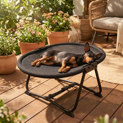 Lit-de-camp-chien-chaise, hamac d'été en maille repirante solide pour une circulation d'air optimale, imperméable, lavable, avec sa structure en acier inoxydable avec sangles de sécurité réglable et pliable, compacte pour chiot et chien de petite taille de 0 à 6 kilos maximum de couleur noir, léger et transportable-un chien nain qui dort sur le flanc sur le hamac ovale avec sa structure solide et pliable de couleur noir pour chiot et chien de petite taille sur la terrasse de la maison au soleil