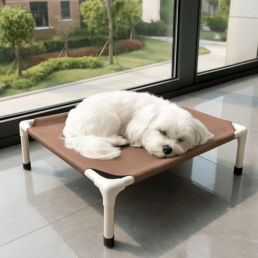 Lit-de-camp-chien-sur pied-en acier-respirant-résistant aux griffes-lavable en machine-transportable-démontable sans outils-pliable-multifonction-lit-surélevé pour petit chien et chiot-de couleur marron-un chien de petite taille qui dort paisiblement sur son petit lit marron ergonomique dans la véranda de l'appartement