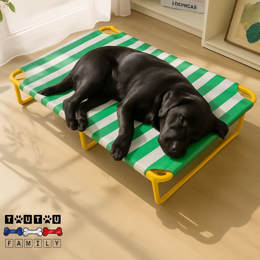 Lit-de-camp-chien-surélevé-rayé-vert et blanc-pliable-imperméable-en toile couleur rayée vert et blanc avec pieds en alliage résistant et anti-rouille-solide-supportant jusqu'à 90 kg pour petit à grand chien disponible en 3 tailles