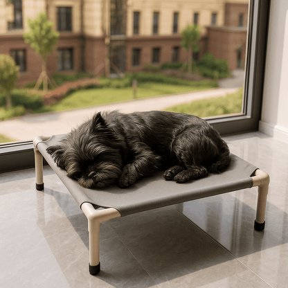 Lit-de-camp-chien-sur pied-en acier-respirant-résistant aux griffes-lavable en machine-transportable-démontable sans outils-pliable-multifonction-lit-surélevé pour petit chien et chiot-un chien de petite taille qui dort en boule sur son petit lit surélevé gris dans le salon de l'appartement