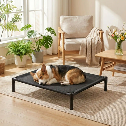 Lit-de-camp-pour-chiens-de petite à moyenne taille de 0 à 15 kilos, en maille oxford robuste imperméable, aéré idéal pour les mois chauds, surélévé par des pieds et structure en acier avec des pieds antidérapant et anti-rayures, pour une utilisation en intérieur ou extérieur, montage et démontage facile pour les voyages ou un rangement ultra-compact-un chien à poils épais qui dort paisiblement sur le lit hamac respirant dans le salon de l'appartement pendant la saison chaude