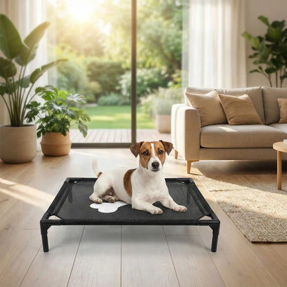 Lit-de-camp-pour-chiens-chiot-de petite taille de 0 à 7 kg, montage et démontage facile en maille robuste et respirante, imperméable et léger, un lit surélevé sur pieds en acier inoxydable avec patins antidérapants et anti rayures pour une utilisation polyvalente en intérieur et extérieur, lavable à l'eau et qui n'accroche pas les poils, hygiénique pour les 4 saisons-un Jack Russell couché confortablement sur son lit de camp noir avec design os au milieu de la toile dans le salon de la maison