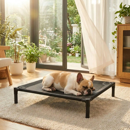 Lit-de-camp-pour-chiens-de petite à moyenne taille de 0 à 15 kilos, en maille oxford robuste imperméable, aéré idéal pour les mois chauds, surélévé par des pieds et structure en acier avec des pieds antidérapant et anti-rayures, pour une utilisation en intérieur ou extérieur, montage et démontage facile pour les voyages ou un rangement ultra-compact-un Bouledogue français qui dort paisiblement sur le lit hamac respirant dans le salon de la maison