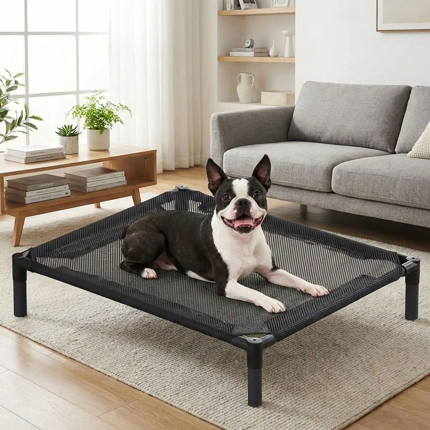 Lit-de-camp-pour-chiens-de petite à moyenne taille de 0 à 15 kilos, en maille oxford robuste imperméable, aéré idéal pour les mois chauds, surélévé par des pieds et structure en acier avec des pieds antidérapant et anti-rayures, pour une utilisation en intérieur ou extérieur, montage et démontage facile pour les voyages ou un rangement ultra-compact-un Boston Terriercouché confortablement sur le lit hamac respirant dans le salon de l'appartement