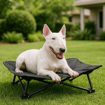Lit-de-camping-pour-chien-chiot-pliable-imperméable-avec sac de transport-sur pied antidérapant en acier-rembourrage 100% coton-déhoussable et lavable-installation facile et rapide-prêt à l'emploi-solide-robuste et durable pour une utilisation intérieur et extérieur-surélevé et respirant pour toutes saisons-un chien couché et heureux sur son hamac noir compact dans le jardin de la maison en été