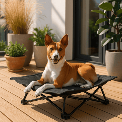 Lit-de-camping-pour-chien-chiot-pliable-imperméable-avec sac de transport-sur pied antidérapant en acier-rembourrage 100% coton-déhoussable et lavable-installation facile et rapide-prêt à l'emploi-solide-robuste et durable pour une utilisation intérieur et extérieur-surélevé et respirant pour toutes saisons-un chien couché et heureux sur son hamac noir compact sur la terrasse de l'appartement en été