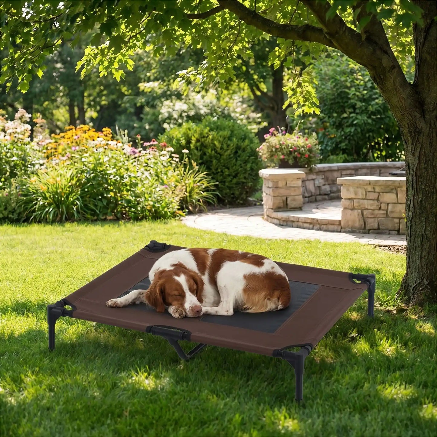 Lit-de-camps-chien-chien-surélevé-toile Oxford imperméable et résistant, pliable avec 4 pieds et un pied au milieu pour une stabiliité parfaite avec deux carrés de maille respirantes sur la surface pour une aération optimale pour chien de petite à moyenne taille de 0 à 25 kilos- un chien de chasse qui dort couché confortablement sur le lit de camps sur la terrasse de la maison sous l'arbre du jardin de la maison en été
