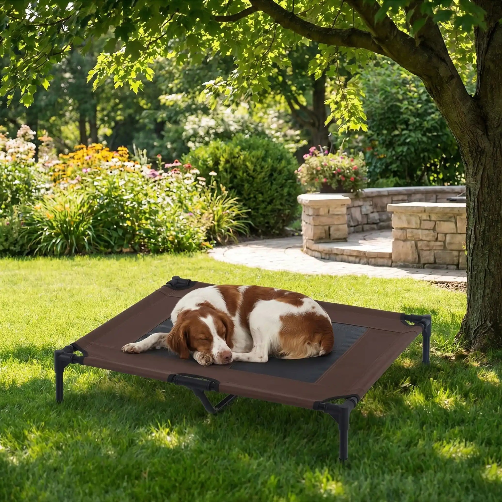 Lit-de-camps-chien-chien-surélevé-toile Oxford imperméable et résistant, pliable avec 4 pieds et un pied au milieu pour une stabiliité parfaite avec deux carrés de maille respirantes sur la surface pour une aération optimale pour chien de petite à moyenne taille de 0 à 25 kilos- un chien de chasse qui dort couché confortablement sur le lit de camps sur la terrasse de la maison sous l'arbre du jardin de la maison en été