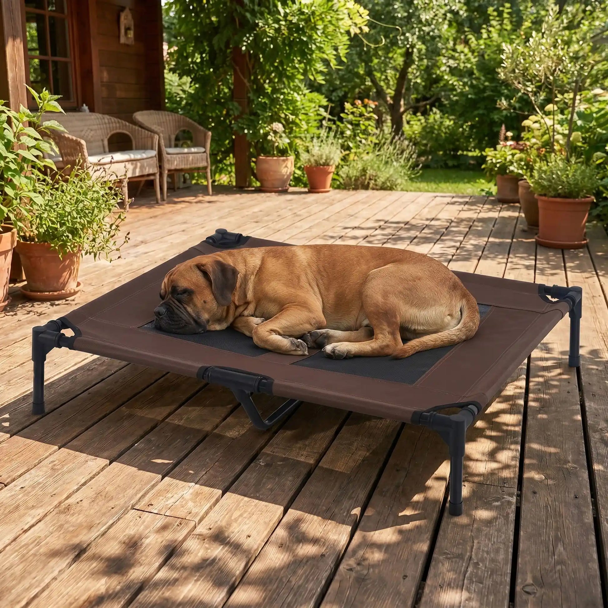 Lit-de-camps-chien-chien-surélevé-toile Oxford imperméable et résistant, pliable avec 4 pieds et un pied au milieu pour une stabiliité parfaite avec deux carrés de maille respirantes sur la surface pour une aération optimale pour chien de petite à moyenne taille de 0 à 25 kilos- un chien de race moyenne taille qui dort couché confortablement sur le lit de camps sur la terrasse en bois  de la maison en été