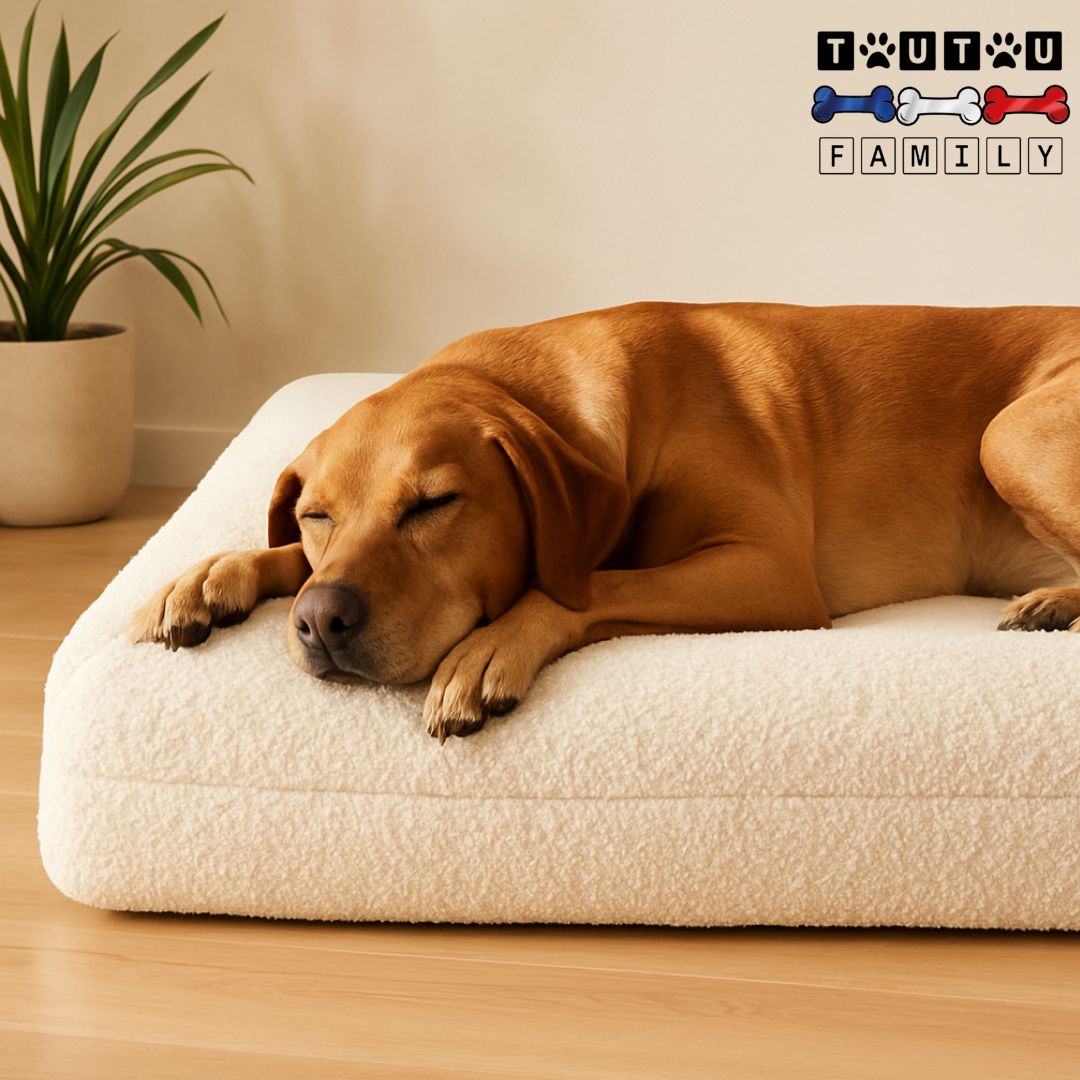 Lit-orthopedique-chien-dehoussable-imperméable-antidérapant avec traversin entourant intégré ergonomique-matelas à mémoire de forme-un grand chien qui dort la tête reposant sur le rebord du panier orthopédique doux et résistant